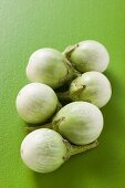 Green baby aubergines on green background