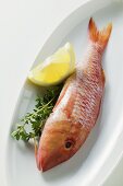 Fresh red mullet with lemon and thyme