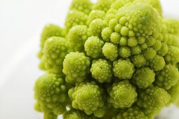 Romanesco (Nahaufnahme)