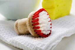 Brush, tea towel and sponge