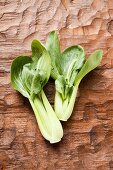 Two pak choi with drops of water