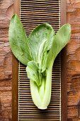 Pak Choi mit Wassertropfen