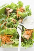 Salad leaves with carrots, croutons & sour cream dressing