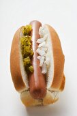 Hot Dog mit Relish und Zwiebeln