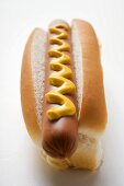 Hot dog with mustard