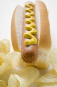 Hot dog with mustard and potato crisps