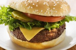 Cheeseburger mit Tomate und Essiggurke