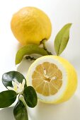 Zitronen mit Blättern und Blüten