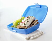 Lunchbox mit Frischkäsebrot, Trauben und Radieschen