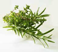 Rosemary and thyme
