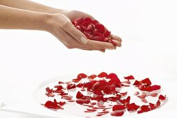 Hands dropping rose petals into bowl of water
