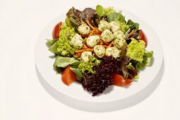 Gemischter Salat mit Mozzarellabällchen