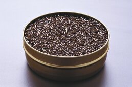 Schwarzer Kaviar in der Dose