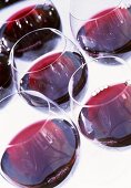 Sechs Gläser Rotwein vor weißem Hintergrund