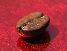 One coffee bean on red background