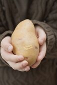Mädchen hält eine Bio-Kartoffel