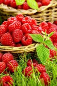 Fresh raspberries in two baskets (close-up)