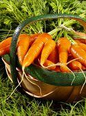 Fresh carrots in a basket (close-up)