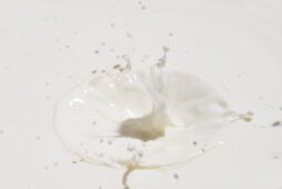 Milch-Splash (bildfüllend)