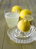 Lemon squeezer, lemons and a glass of hot lemon