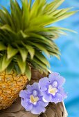 A pineapple with tropical flowers