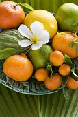 Assorted citrus fruit with leaves and plumeria