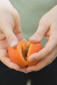 Halving an apricot