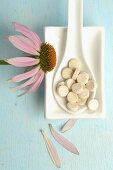 Sonnenhut (Echinacea) mit Tabletten