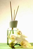 Fragrance diffuser with aroma sticks and orchid