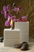Aroma oil lamp with orchids