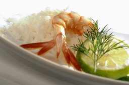 Prawn with rice and lime