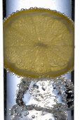 Mineralwasser mit Eiswürfeln und Zitronenscheibe (Close Up)