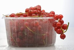 Rote Johannisbeeren in Plastikschale