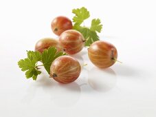 Gooseberries