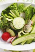 Blattsalat mit Gurken und Radieschen