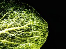 A savoy cabbage leaf in hot oil