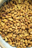 Fenugreek