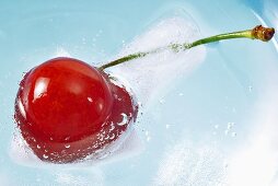 Fresh cherry floating in ice water