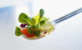 Verschiedene Blattsalate und Tomatenschnitz auf einem Löffel