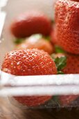 Strawberries in plastic container