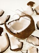 Eine geöffnete Kokosnuss