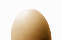 A brown hen’s egg