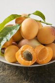 Apricots and peaches in a bowl