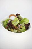 Mixed salad leaves with cucumber, olives and onions