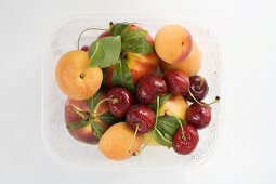 Plastikschale mit Nektarinen, Aprikosen und Kirschen