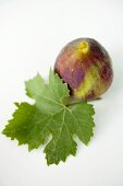 A fig with leaf