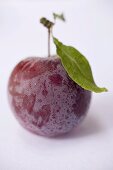 A plum