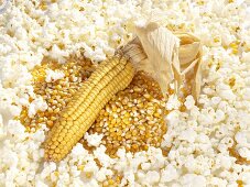 Cob of corn and corn kernels surrounded by popcorn