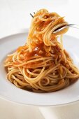 Spaghetti with tomato sauce wrapped around a fork