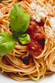 Spaghetti with tomato sauce, basil and cheese